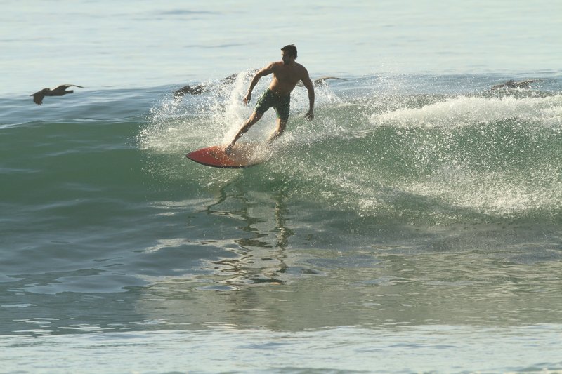 surf travel tips