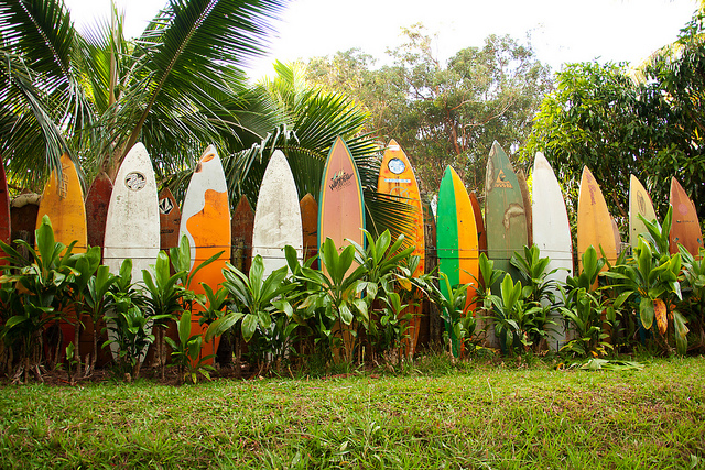 collection-of-surfboards